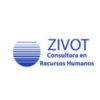 Consultora Zivot Argentina Jobs Expertini